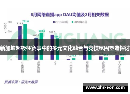 新加坡超级杯赛事中的多元文化融合与竞技氛围塑造探讨