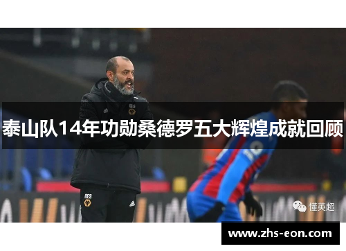 泰山队14年功勋桑德罗五大辉煌成就回顾