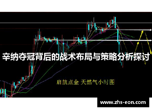 辛纳夺冠背后的战术布局与策略分析探讨