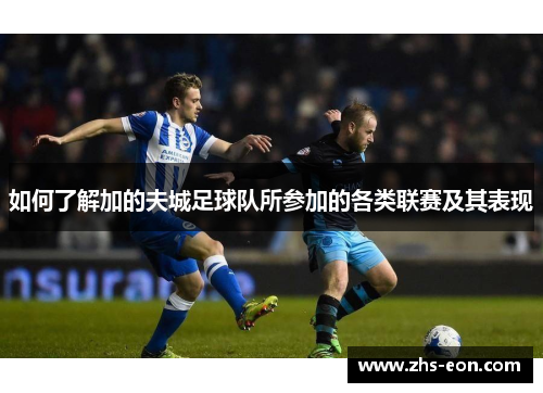 如何了解加的夫城足球队所参加的各类联赛及其表现